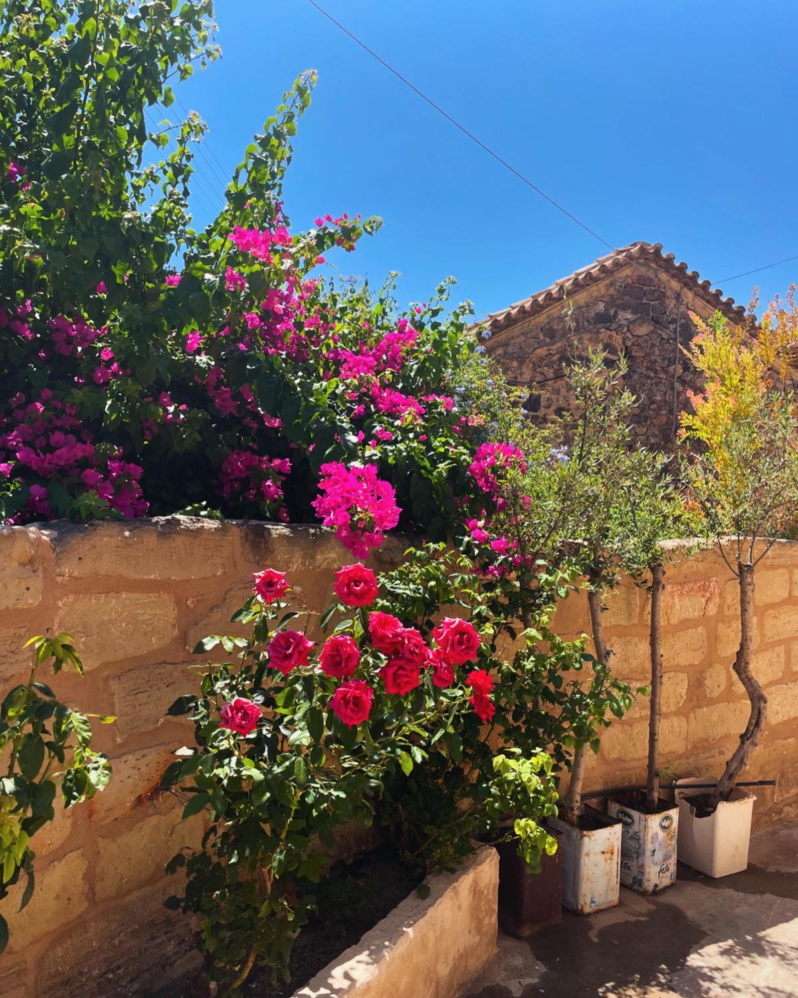 فيلا Pyrgos Fassea كارداميلي المظهر الخارجي الصورة